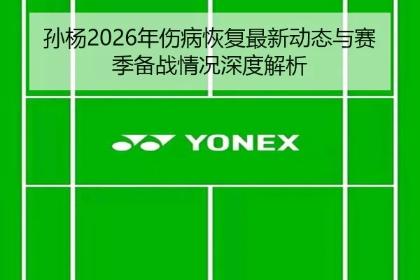 孙杨2026年伤病恢复最新动态与赛季备战情况深度解析